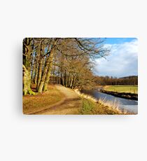 The wonderful feeling of spring Canvas Print