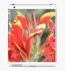 Autumn garden, Victoria. iPad Case/Skin