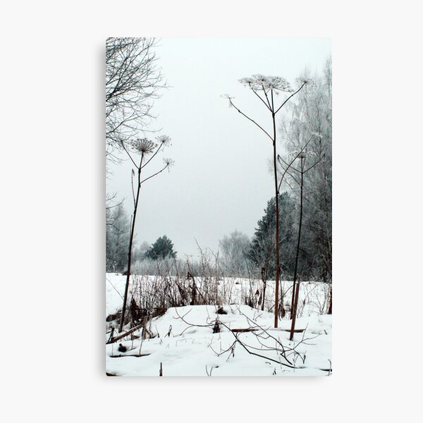 Scenery in winter Canvas Print