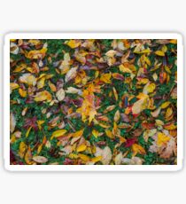 Herbstlaub Sticker