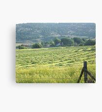 Fresh Mown Hay Leinwanddruck