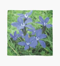 Blue Alpine Flowers Scarf