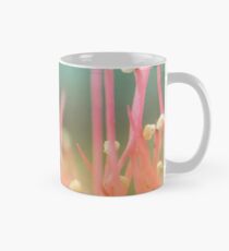 Coral and Aqua Classic Mug