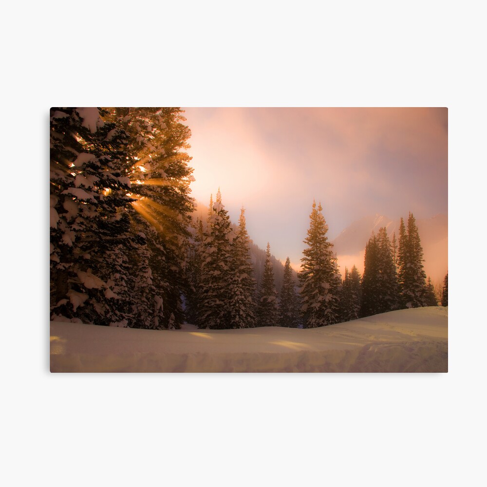 Albion Gold Canvas Print