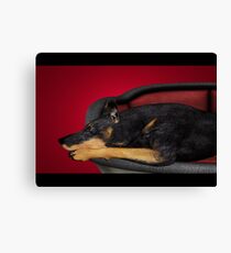 Waiting Canvas Print