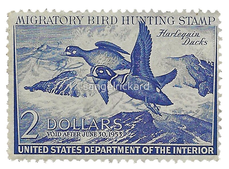 "Migratory Bird Hunting Stamp" by sangelrickard Redbubble