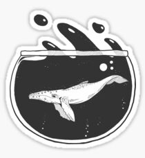 Whale in a Fishbowl Sticker