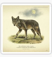 The California Valley Coyote Sticker