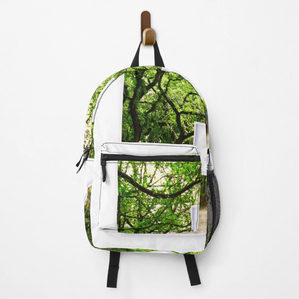 Central Park - Letter B on a backpack