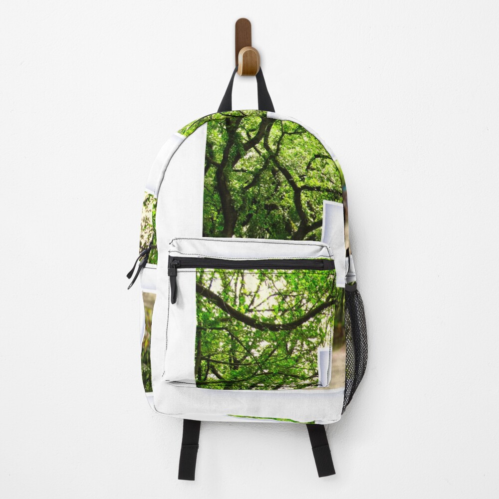 Central Park - Letter E on a backpack
