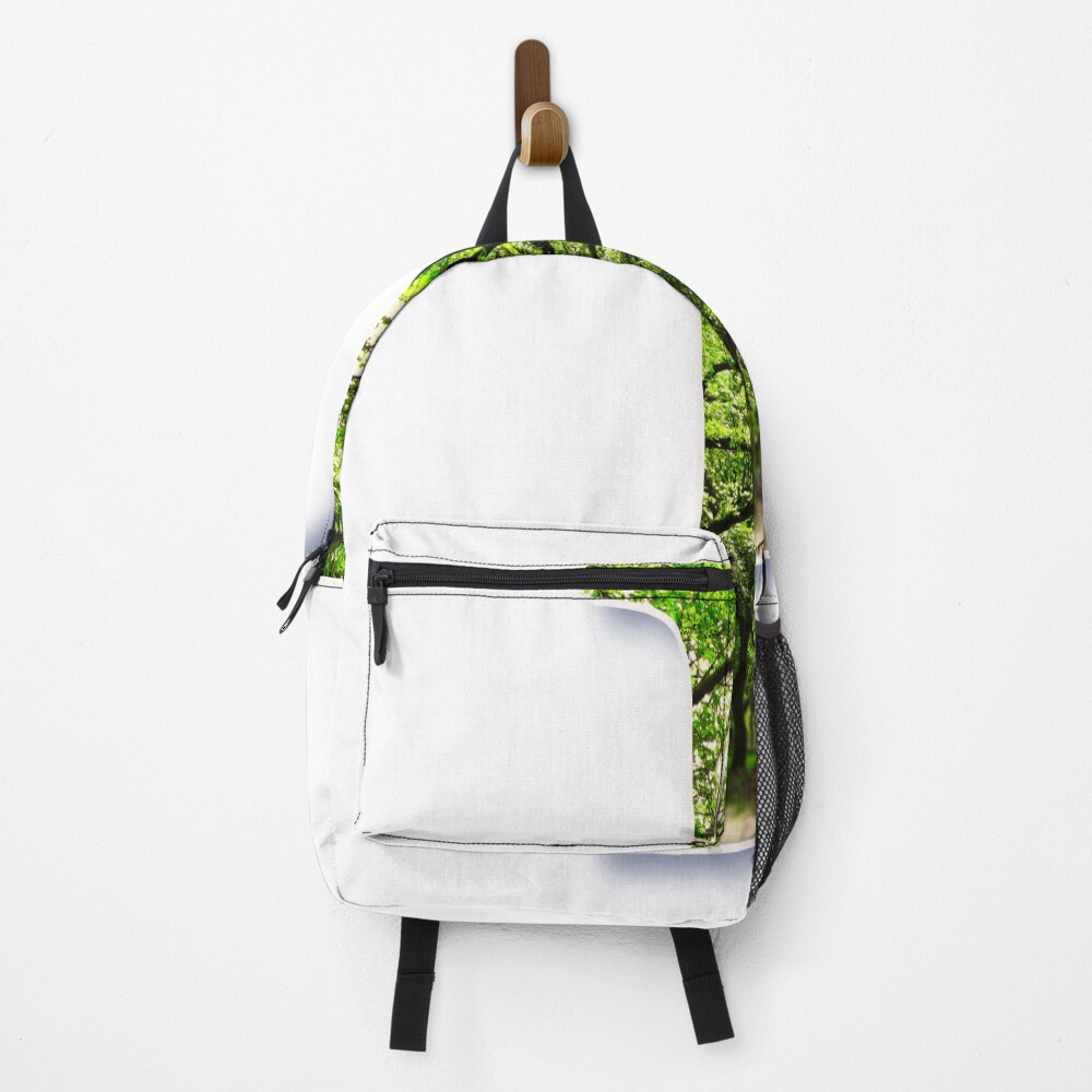 Central Park - Letter I on a backpack