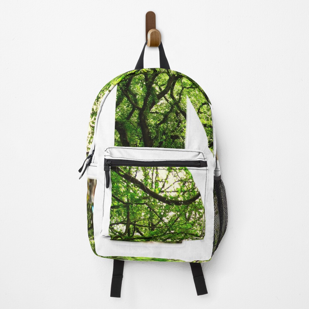 Central Park - Letter N on a backpack