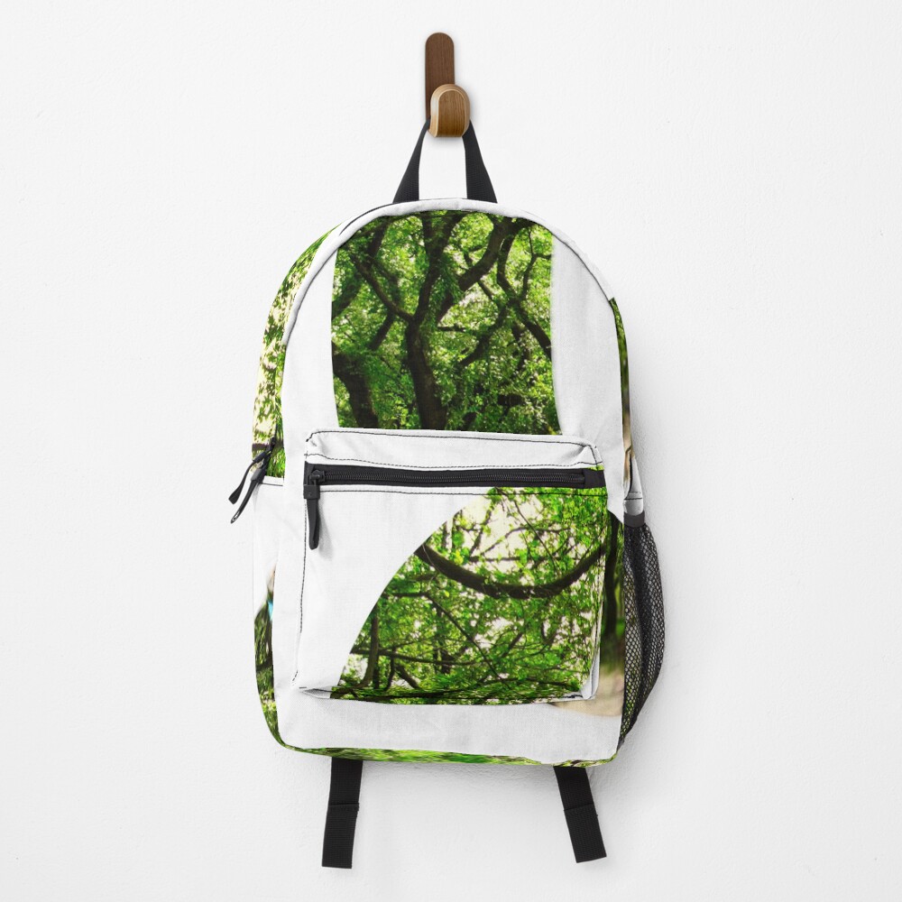 Central Park - Letter O on a backpack