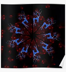 STP Screen Transfer Process - 0073 - Fits Mandala Poster