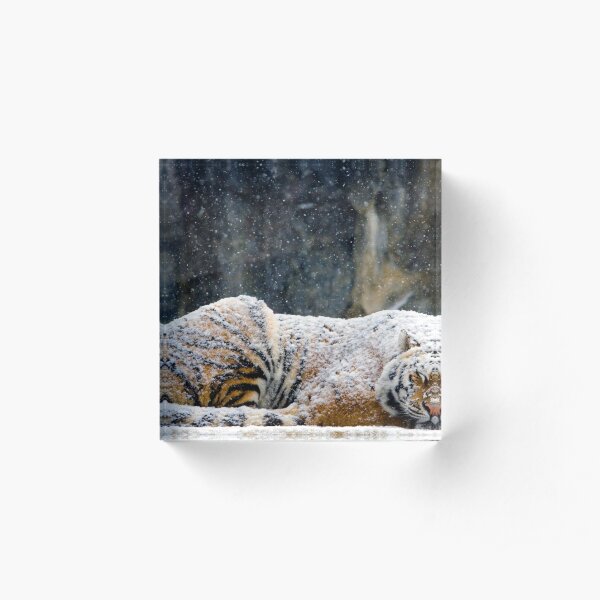 Warm Coat Acrylic Block