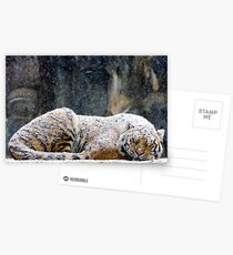 Warmer Mantel Postkarten