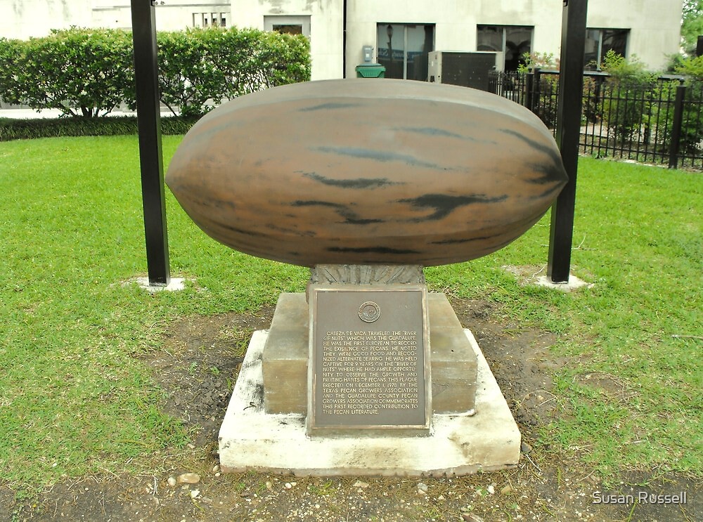 "N for NUT! "World's Largest Pecan" in Seguin, Texas" by Susan Russell