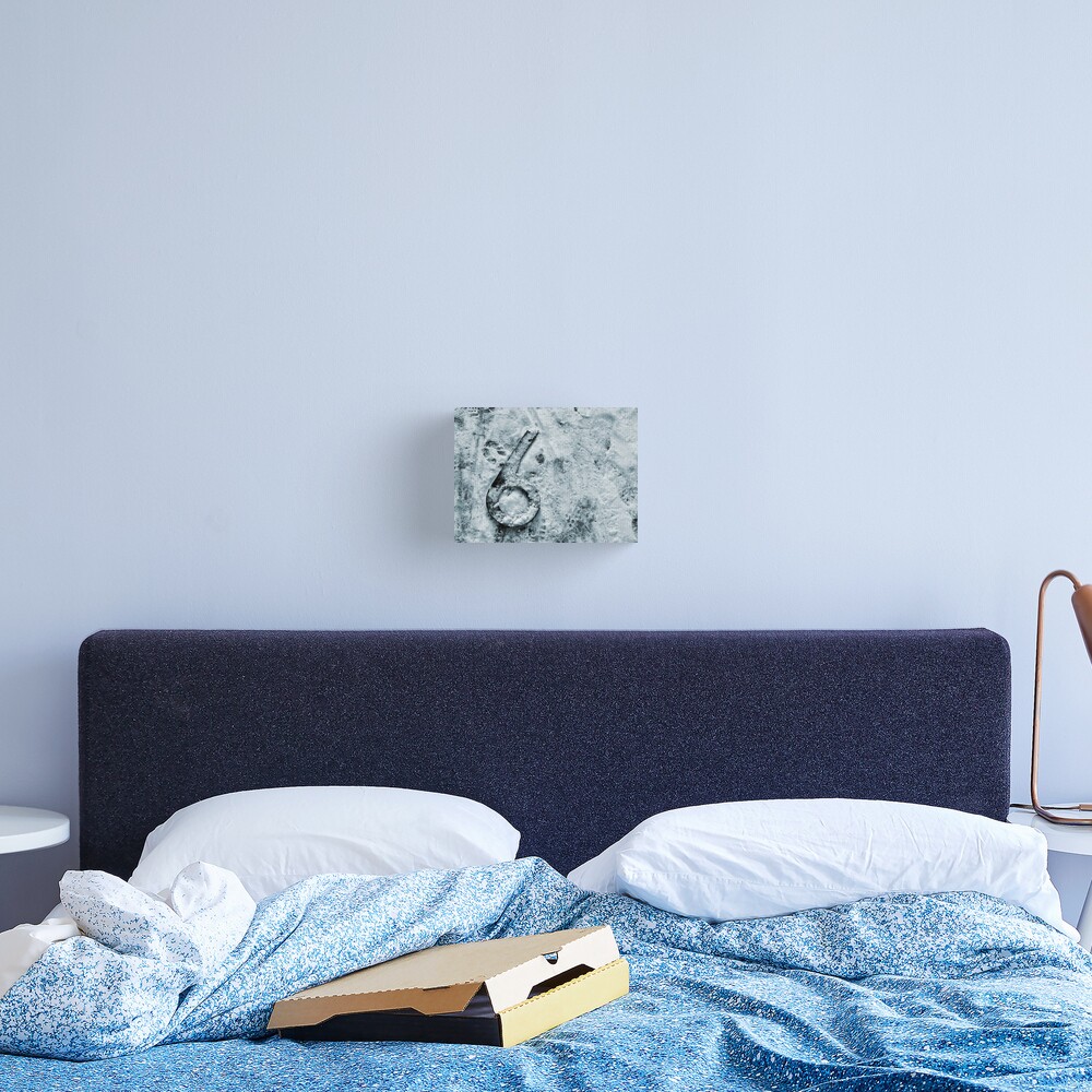 Six Canvas Print