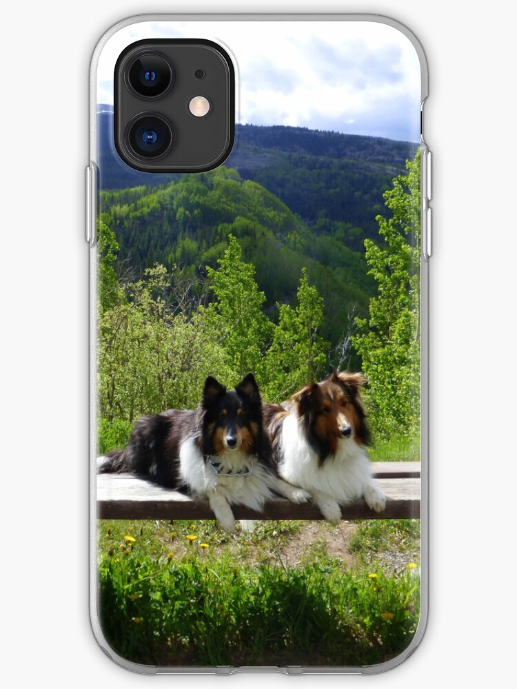 paradise shelties