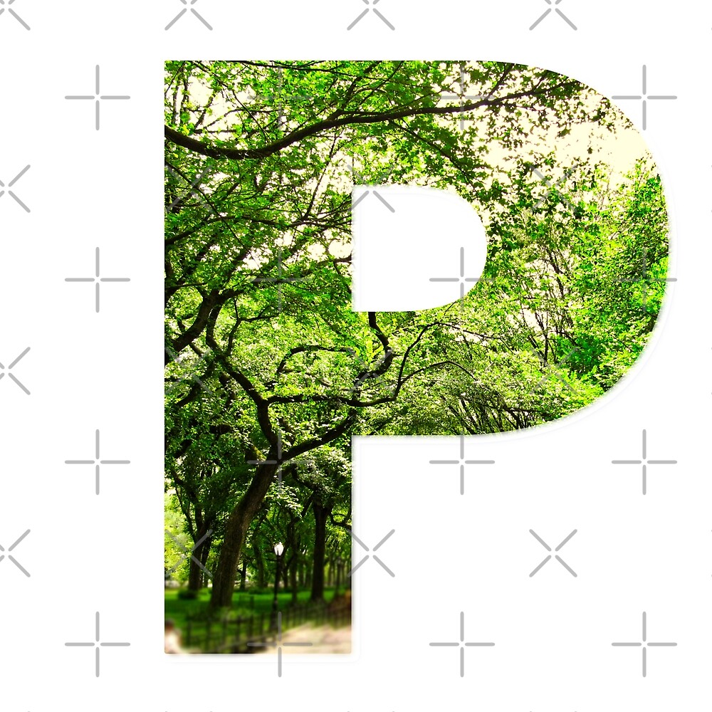 Central Park - Letter P — Poster