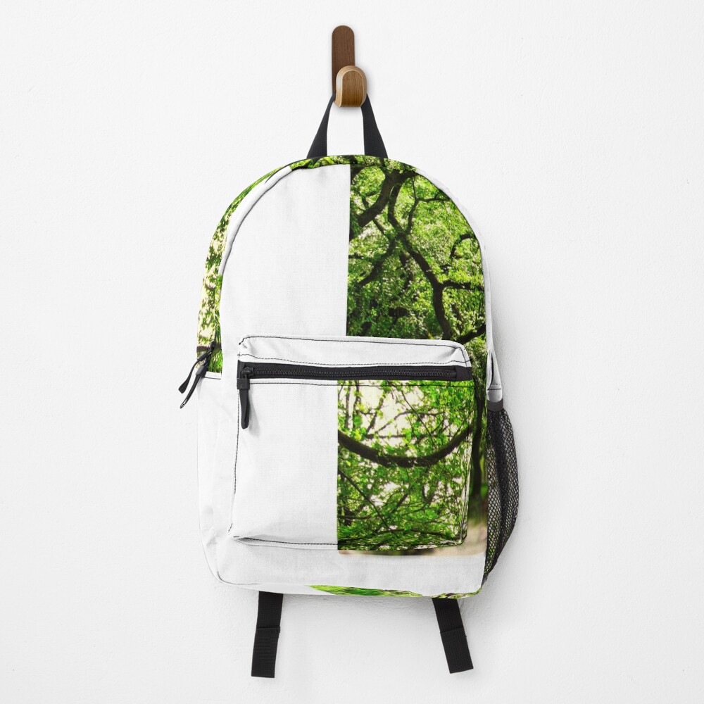 Central Park - Letter P on a backpack
