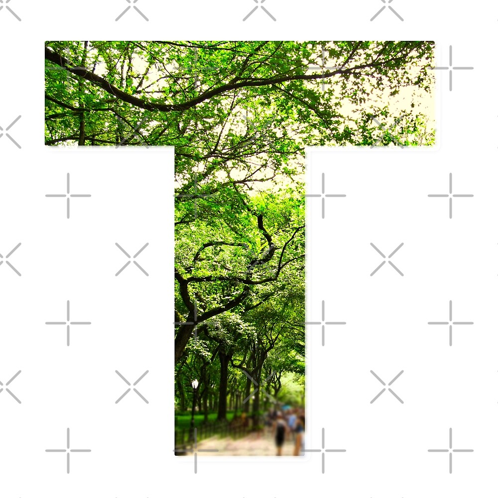Central Park - Letter T — Poster