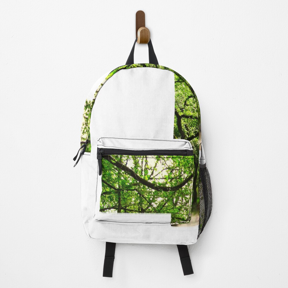 Central Park - Letter T on a backpack