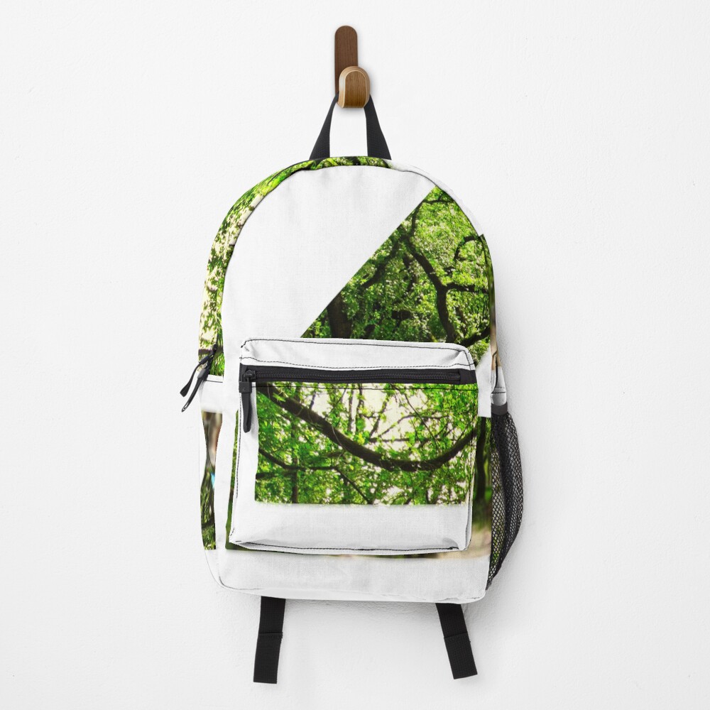 Central Park - Letter Z on a backpack