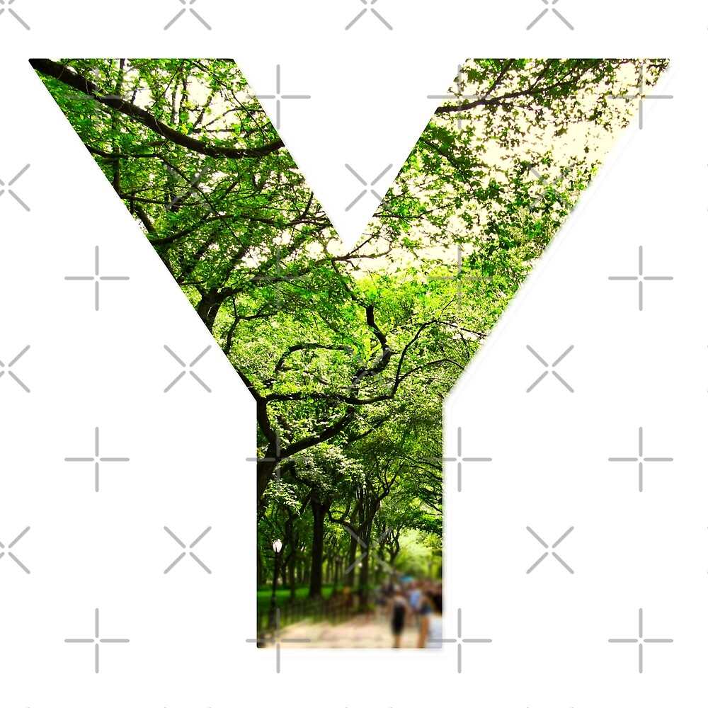 Central Park - Letter Y — Poster