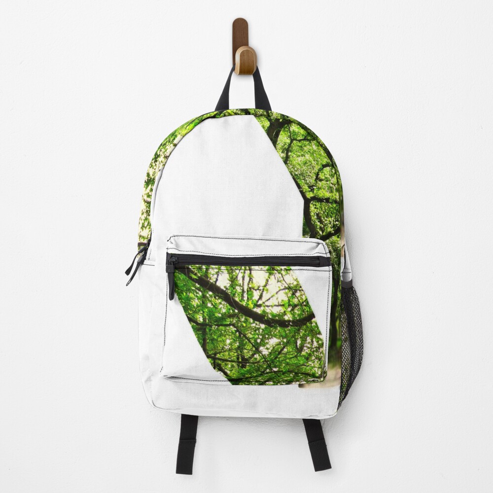 Central Park - Letter Y on a backpack