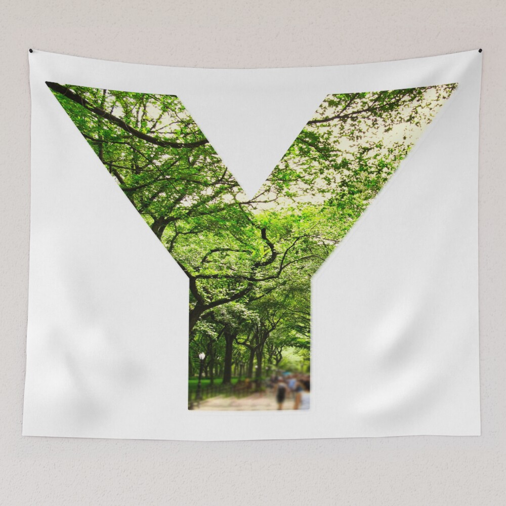 Central Park - Letter Y on a tapestry