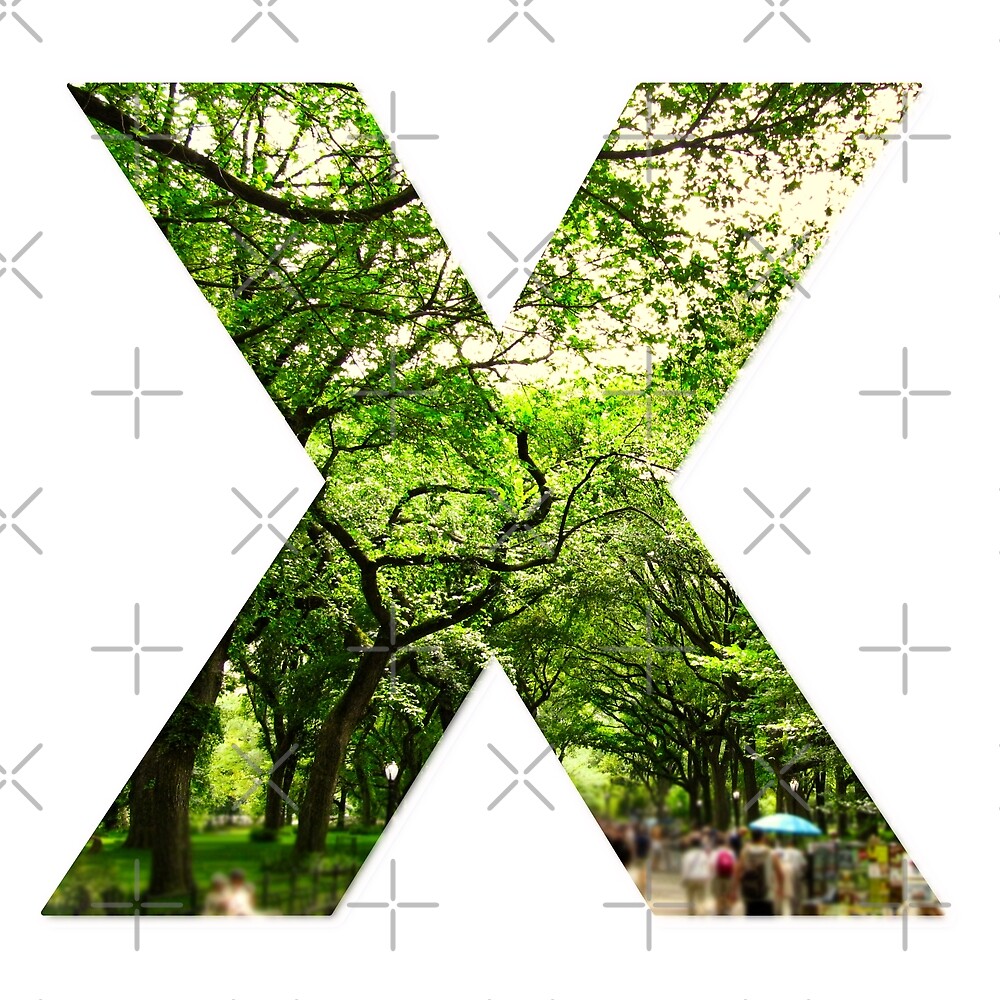 Central Park - Letter X — Poster