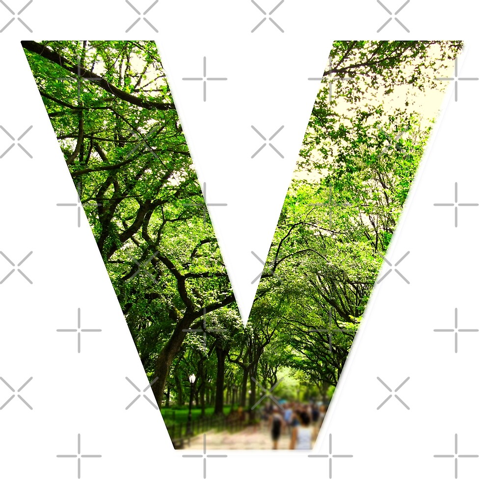 Central Park - Letter V — Poster