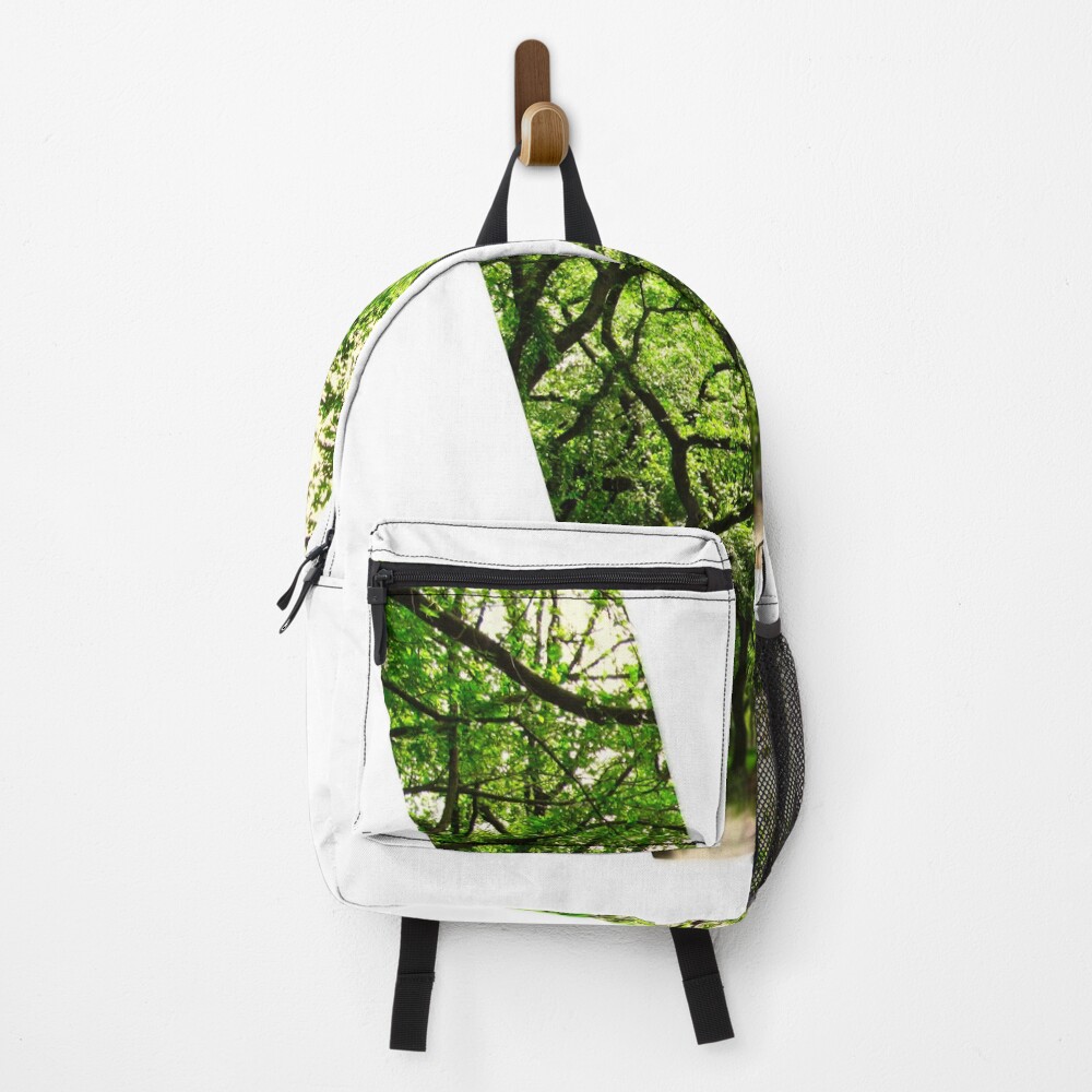 Central Park - Letter V on a backpack
