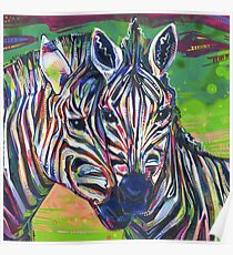 Zebras painting - 2012 Poster