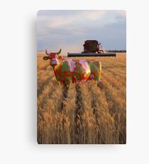 Painted Cow in the Wheat Canvas Print