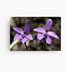 Two Beauties Canvas Print