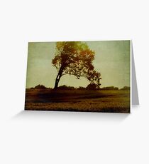 carte postale / 024 Greeting Card