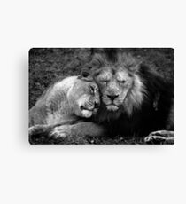 Asiatic Love. Canvas Print