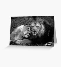 Asiatic Love. Greeting Card
