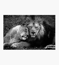 Asiatic Love. Photographic Print