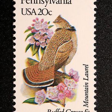 Mountain Flora Framed Stamps - Pasqueflower