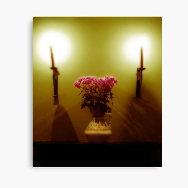 Vase Canvas Print
