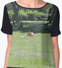 #Landscape, #people, #environment, #grass, #adult, #tree, #lawn, #outdoors Chiffon Top