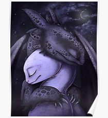 Toothless and The Light Fury Poster