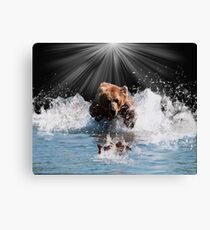 on stoppable force Canvas Print