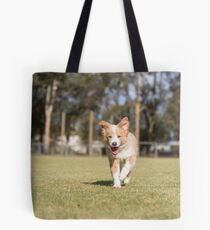 Go Bailey...Blonde Border Collie..... Tote Bag