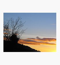 bushes :) Photographic Print