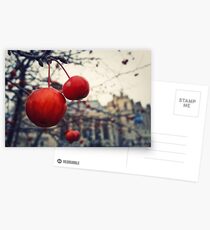 red berries Postcards