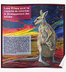 Le choix (Le kangourou roux) Poster